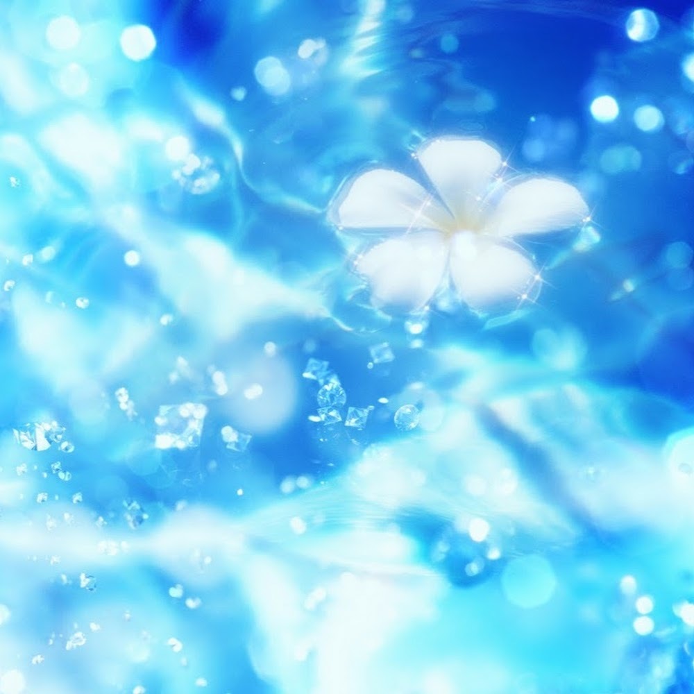 Meet your Posher, Miriam